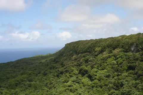 Forested coastal cliffs in 'Eua National Park, Tonga