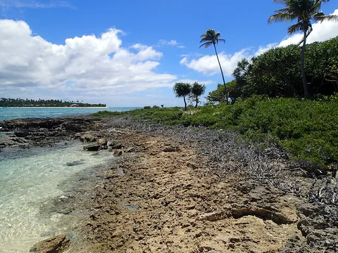 Rocky shoreline, shallow water and palms on Nukunamo, Ha'apai, Tonga
